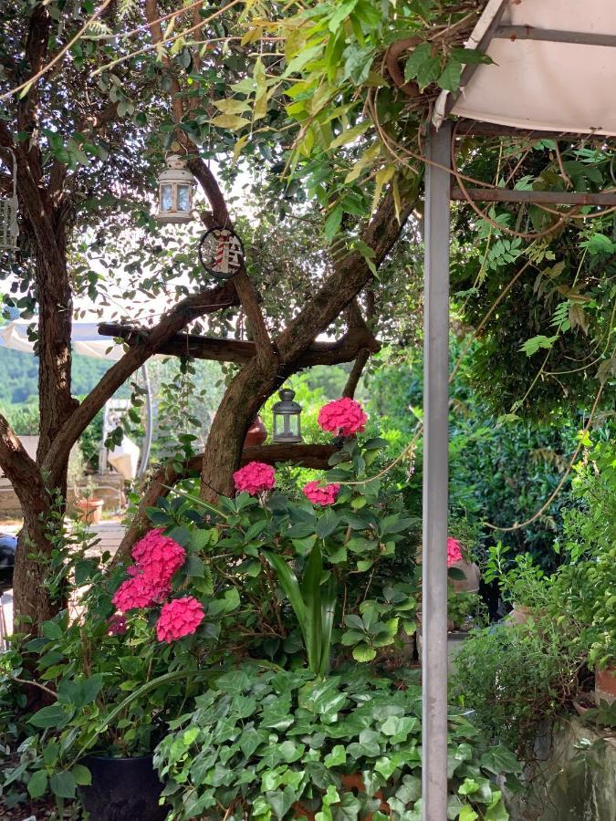 Apartament Il Cenacolo Di Sissi Campagnano Di Roma Zewnętrze zdjęcie