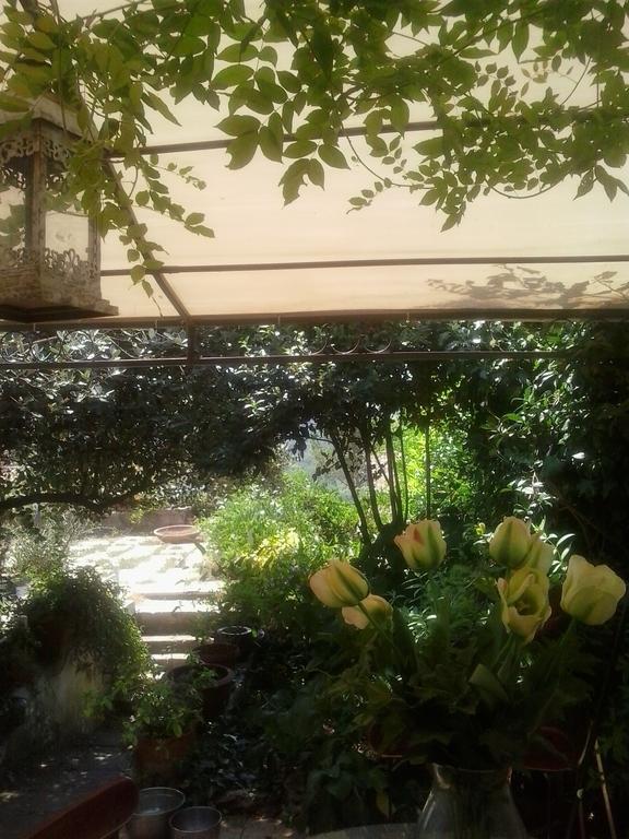Apartament Il Cenacolo Di Sissi Campagnano Di Roma Zewnętrze zdjęcie